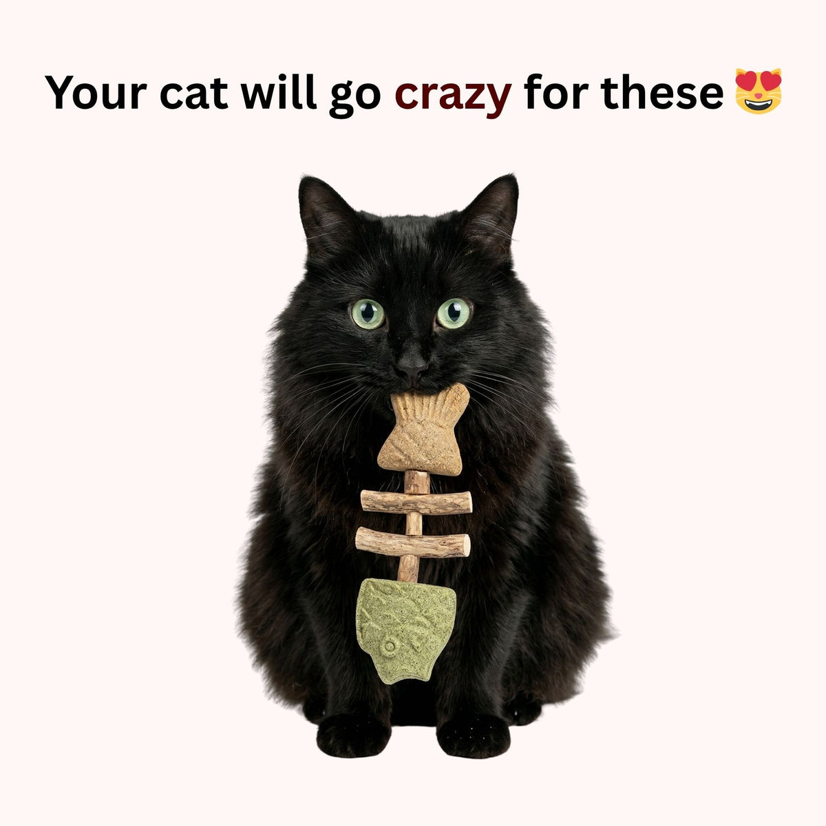 🎁 Buy 1 Get 2 FREE 🎁 Catnip & Silvervine Chew Toy – Natural Play & Boredom Relief