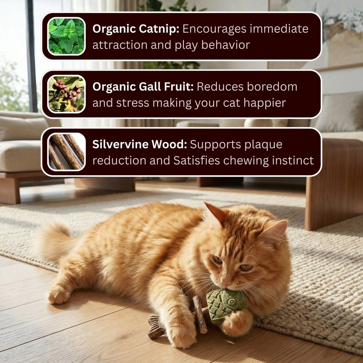 🎁 Buy 1 Get 2 FREE 🎁 Catnip & Silvervine Chew Toy – Natural Play & Boredom Relief
