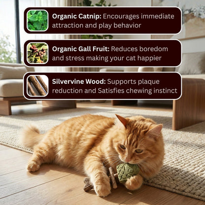 🎁 Buy 1 Get 2 FREE 🎁 Catnip & Silvervine Chew Toy – Natural Play & Boredom Relief