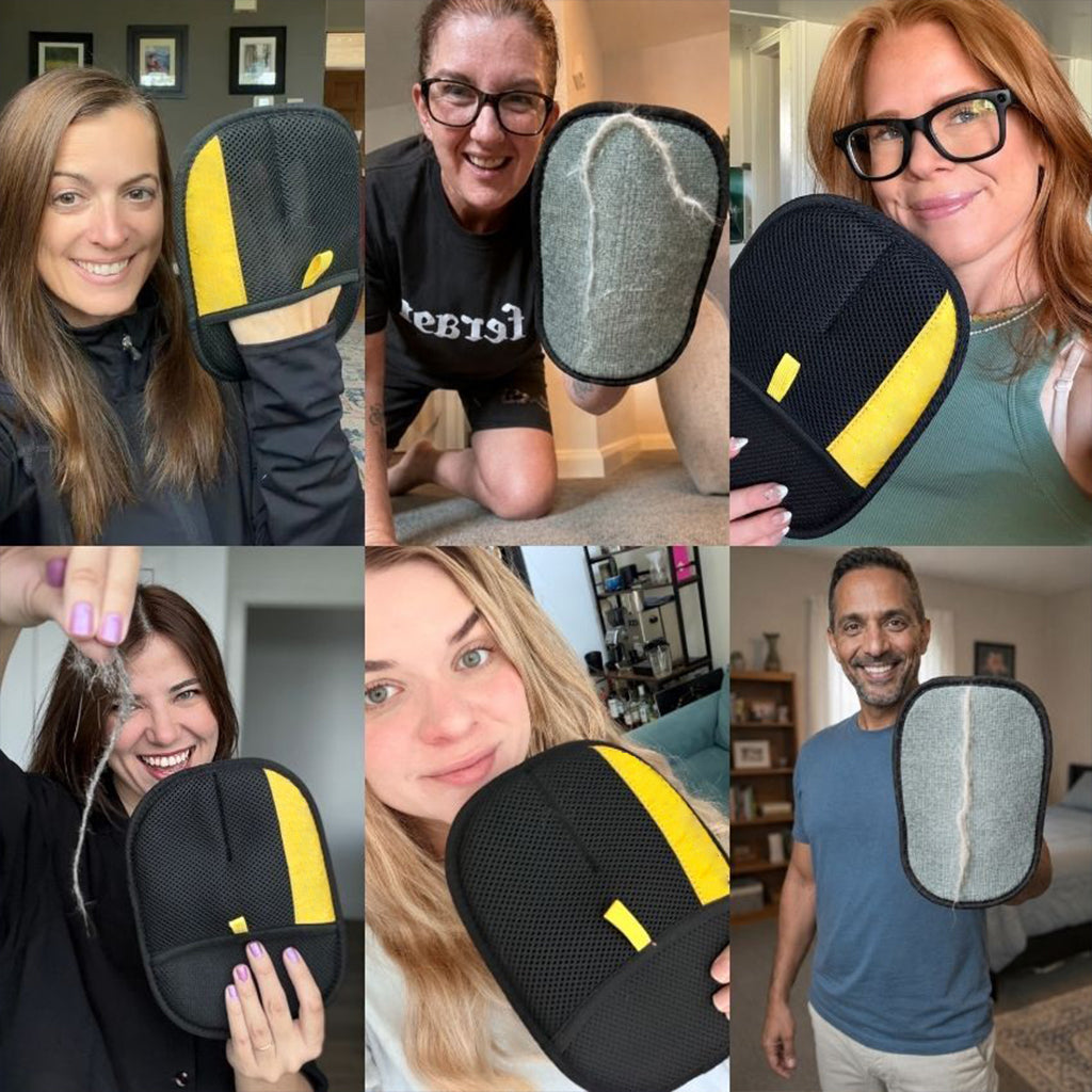 🔥 Buy 1 Get 1 FREE 🔥 Pet Hair Remover Glove – Easily Lift Stubborn Fur from Sofas & Car Seats 🐾