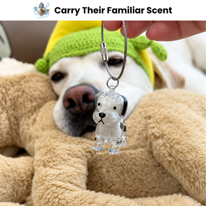 🎁 Buy 1 Get 2 FREE 🎁 Pet Fur Keepsake — Keep a Piece of Them Close🐾