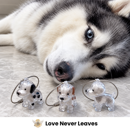 🎁 Buy 1 Get 2 FREE 🎁 Pet Fur Keepsake — Keep a Piece of Them Close🐾