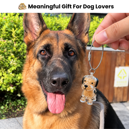 🎁 Buy 1 Get 2 FREE 🎁 Pet Fur Keepsake — Keep a Piece of Them Close🐾
